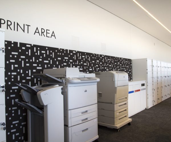 projeto-hp-edo-rocha-13